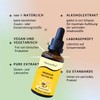 Propolis Tincture 40% - 3 x 50 ml - Pure
