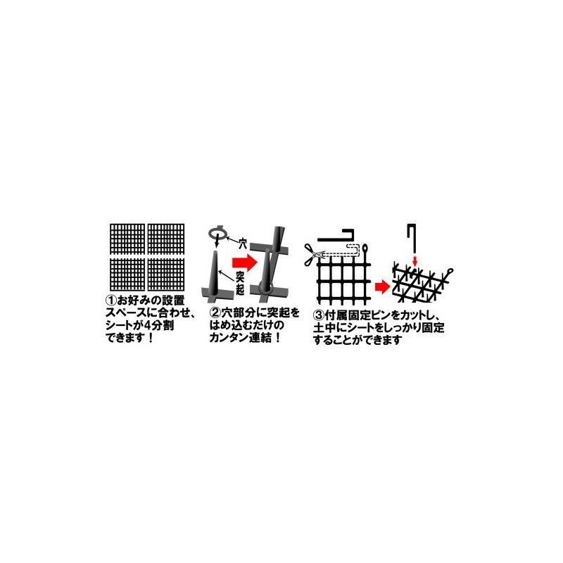 Daiichi Vinyl, Here No Sheet 4 Piece