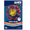 Tru-Ray® Construction Paper, 50% Recycled, 9" x 12", White, 50