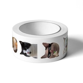 500PCS Cat Me/me Stickers Roll,Waterproof Vinyl Stickers,Funny Cat Stickers,Stickers for Water Bottles, Laptop, Scrapbook,Journals,Animal Stickers,Kawaii Stickers,DIY Crafts (10 Styles)
