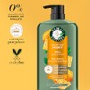 Herbal Essences Champú sin sulfato con miel para hidratación diaria,