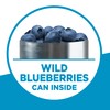 Krusteaz Gluten Free Baking Mix, Wild Blueberry Muffin Mix, Gluten