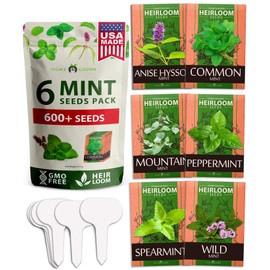 6 Mint Varieties – 600+ Heirloom Herb Seeds 𝗡𝗢𝗡-𝗚𝗠𝗢 𝗨𝗦𝗔 Peppermint, Spearmint, Mountain, Wild, Anise Hyssop, Common Mint | Indoor Outdoor Garden, Pots, Tea, Medicinal Use