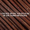 50Pcs Natural Wood Sticks for Crafting Decorative Dried Branches Versatile