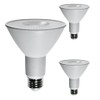 Diodesy- PAR30 LED Long Neck Flood Light Bulb 8W 800
