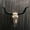 Veronese Design 14 Inch Long Horn Animal Skull Resin Wall