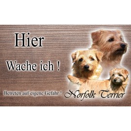Norfolk Terrier Dog or Warning Sign 30 cm