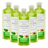 Florigan Shampoo Hidratante Aceite De Aguacate Florigan® 1lt 5 Piezas