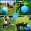 Herding Ball for Dogs and Horses, Dog Agility Toy, Horse