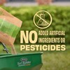 O.M. Scott and Sons Tall Fescue Blend Grass Seed -