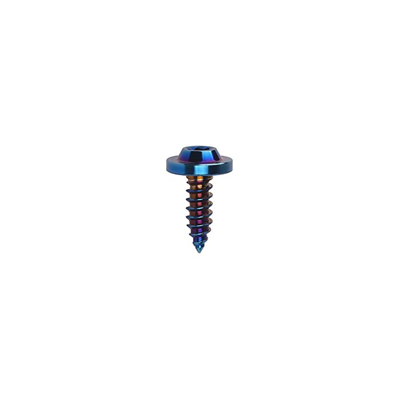 Wanyifa Titanium M4 M5 15 17 20mm Self Tapping Screw