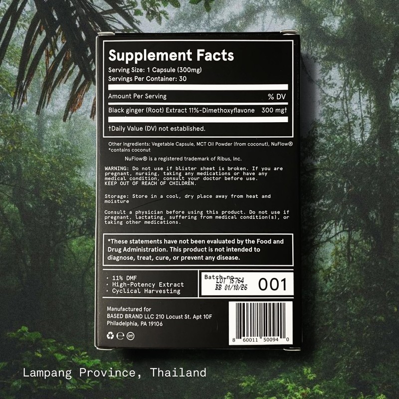 Based Supplements Black Ginger - Premium Thai Root Extract with