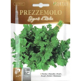 HORTUS Seeds, Art.4971, Italian Parsley, Giant