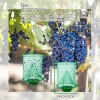 DKEP 8 Pack Ranch Fly Traps Outdoor Hanging Fly Trap