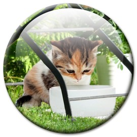 Fridge Magnet Cat with Funny Cat Motif "Under the Garden Chair!", Magnets for Magnetic Board, Colourful, Large, Round, 50 mm