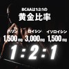 【レモンライム風味】EAA 600g EAA8,555mg配合 高配合 BCAA ベータアラニン1,300mg クレアチン HMB グルタミン アルギニン