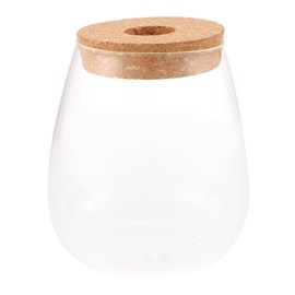 Totority Hydroponic Plant Glass Terrarium Bottle Transparent Ecological Vase for Indoor Desktop Decoration Compact Micro Landscape Planter Suitable for Home Office Bedroom