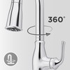 Pfister Rosslyn Kitchen Faucet with Pull Down Sprayer and Soap