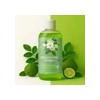 Shampoo Capilar De Extracto De Bergamota 500ml