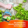Messina Wildlife Pulverize PWBV-U-032 Weed, Brush & Vine Killer Spray