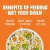 Weruva Wet Cat Food, Pumpkin Patch Pack Variety Pack, 3oz