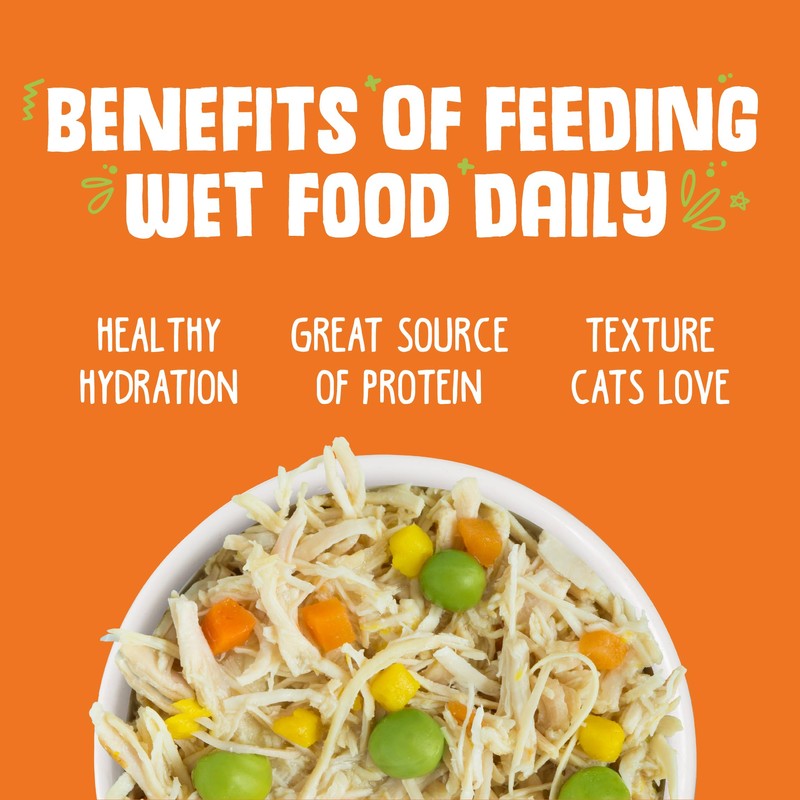 Weruva Wet Cat Food, Pumpkin Patch Pack Variety Pack, 3oz