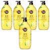 Shower Mate Fresh Body Wash Yuzu, 1.2kg, 5 pcs / 샤워메이트 프레시 바디워시 유자, 1.2kg, 5개