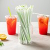 Restaurantware-Basic Nature 8.3 Inch Disposable Straws, 2000 Sustainable Straws -