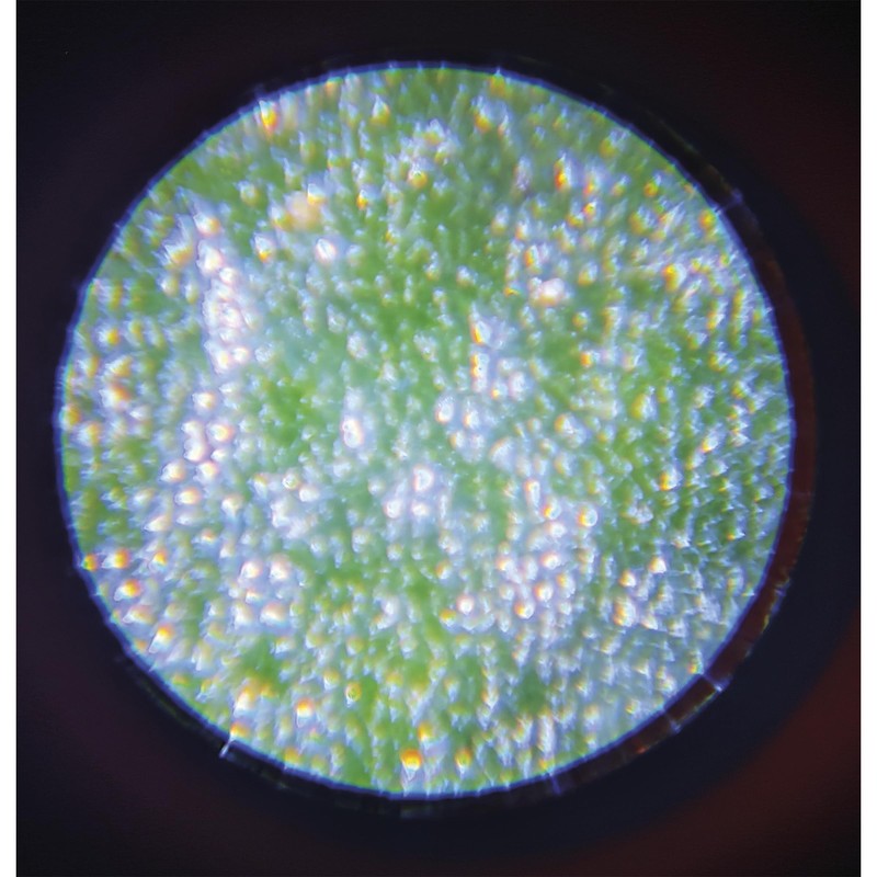 Janod - Children's Portable Pocket Microscope - 50x-250x magnification +