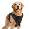 PWOD No Pull Dog Harness with 2 Leash Clips, Reflective