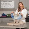 Total Pet Health Elizabethan Collars — Durable Plastic Collars that
