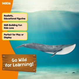 Schleich Wild Life Realistic Blue Whale Figurine - Authentic and Highly Detailed Aquatic Animal Toy, Durable for Education and Fun Play, Perfect for Boys and Girls, Ages 3+