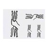4 x 'Greek Trident' Temporary Tattoos - Water Resistant, Skin-Safe,