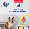 Resolve Pet Specialist Urine Destroyer Spray – Pet Stain &