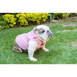 Chaleco Personalizable con el Nombre de su Perro, Abrigador, Suave (Diferentes tamaños y Colores) (0, Rosa)