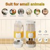 Rabbit Automatic Food Feeder and Water Dispenser Bunny Gravity Feeding
