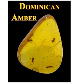 SCIENCE Dominican Amber (Insects in Amber) Approx. 0.3 - 0.5 inches (7 - 12 mm) Dominican Republic Insect Filled Amber (Resin Fossil Product) Country of Origin: Dominican Republic Original Specimen Case with Insect Dominican Amber