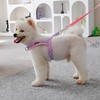AIITLE No Pull Dog Harness with Soft Padded Handle, Adjustable