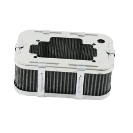 Air Cleaner, for 32/36 Progressive DGV, 2-1/2 Tall, Compatible with Dune Buggy