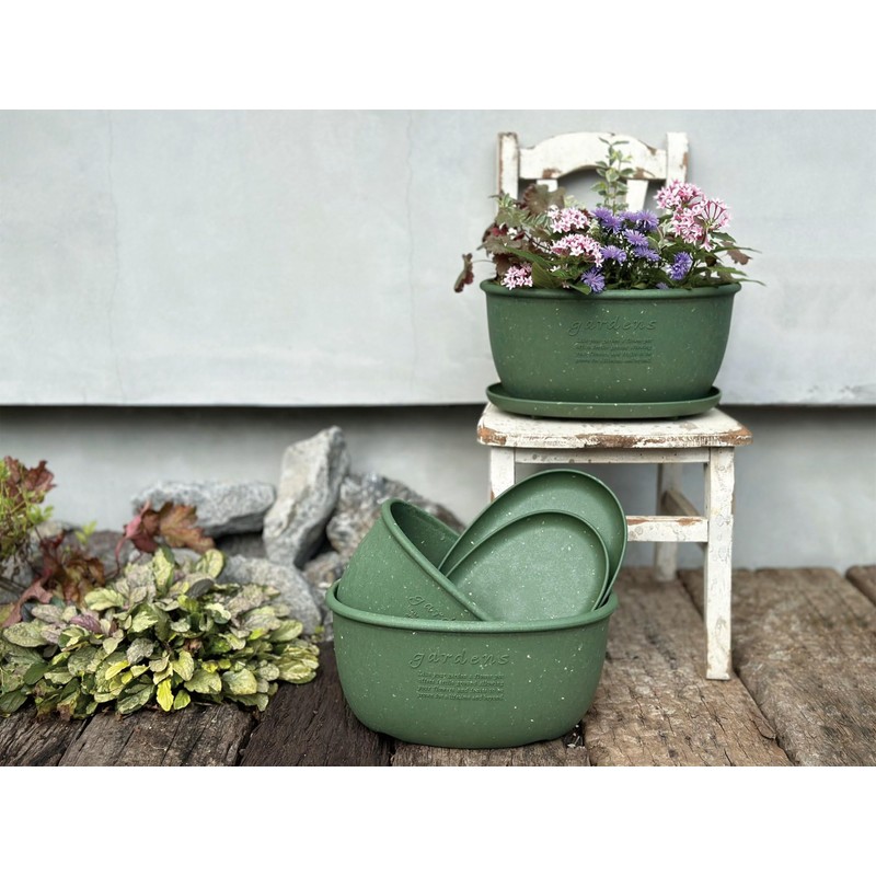Hachiman Kasei Hachiman Gardens Arble 245995 Eco Saucer, Oval Type,