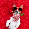 Valentines Dog Bandana Reversible Triangle Bibs Scarf Mother's Day Bandanas