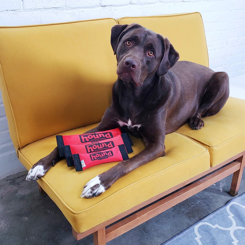 Outward Hound FireHose Dog Toss & Fetch Toy, Red