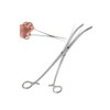 Stainless Steel 6'' 8'' 10''12'' Straight or Curved Fishing Forceps