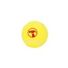 Bunnings Tennis Ball