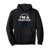 Pretend I'm A Panther Costume Funny Pullover Hoodie