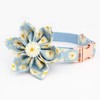 Free Sunday Daisy Dog Collar with Flower,Light Blue Daisy Dog