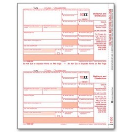 EGP IRS Approved 1099-DIV Laser Tax Form, Federal Copy A, Quantity 100 Recipients