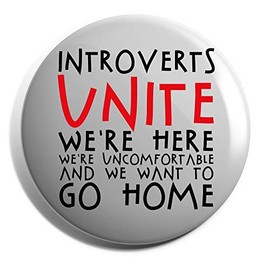 Hippowarehouse introverts unite we're here we're uncomfortable and we want to go home Badge Pin 25mm
