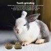 Rabbit Hanging Chew Toys Wood Grass Ball String Loofah Carrot
