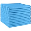 HOMEXCEL Microfibre Glass Cleaning Cloths 12 PK, Lint Free Streak